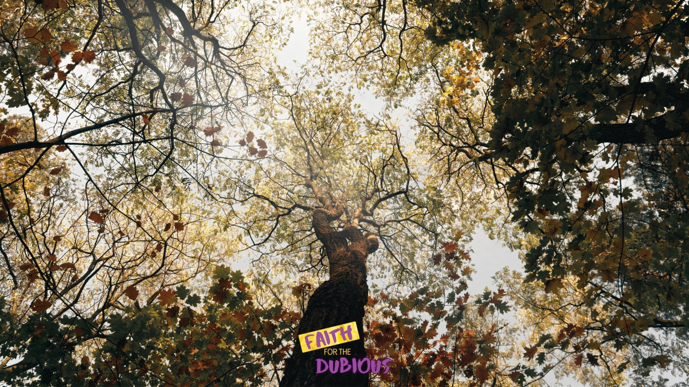 Times and Seasons in the Bible: How They Can Lead Christians