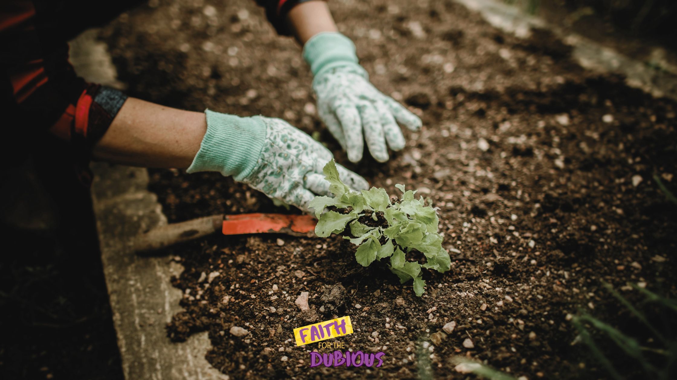 How to Start a Community Garden (And Why Churches Should!)